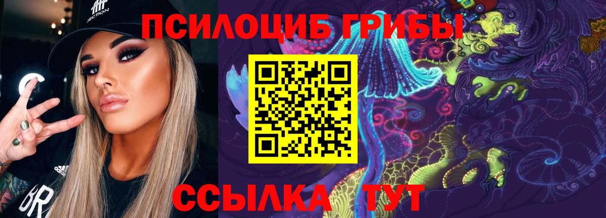 Галлюциногенные грибы Psilocybine cubensis Свободный