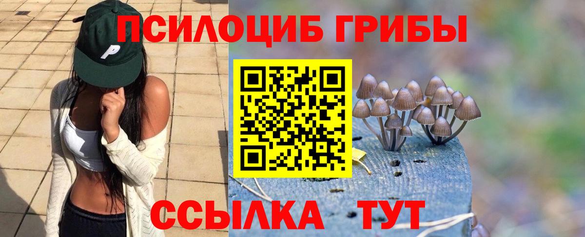 Псилоцибиновые грибы ЛСД  Вход с VPN  Свободный 